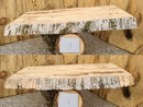 Live Edge Paper Birch Wood Slab - w/curl (