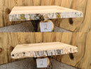 Live Edge Paper Birch Wood Slab - w/curl (
