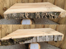 Live Edge Paper Birch Wood Slab - w/curl (
