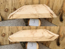 Live Edge Paper Birch Wood Slab - w/curl (