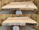 Live Edge Paper Birch Wood Slab - w/curl (