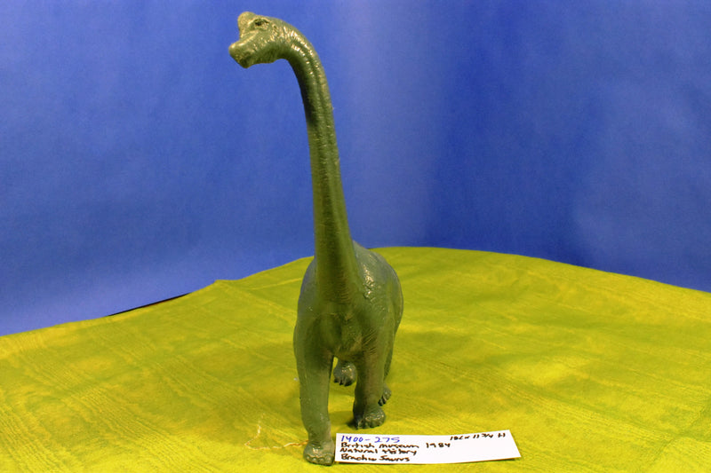 British Museum Of Natural History Brachiosauraus 1984 Figure