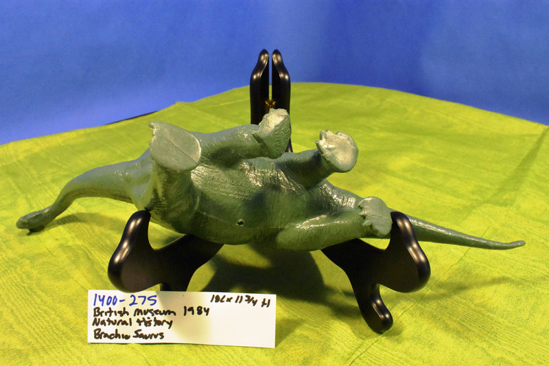 British Museum Of Natural History Brachiosauraus 1984 Figure