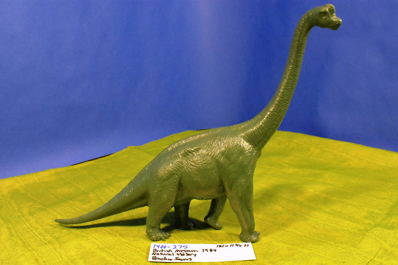 British Museum Of Natural History Brachiosauraus 1984 Figure