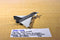 Maisto Tailwinds Die Cast Luftwaffe EF-2000 Eurofighter Typhoon Multirole Fighter Jet