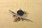 Zylmex Zee Toys 9 Fighter War Air planes