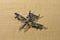 Zylmex Zee Toys 9 Fighter War Air planes