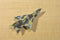 Matchbox and Zyll Planes