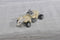 Mattel Hot Wheels Zombot Rat Mobile Pipe Jammer Sharkruiser Speed Seeker