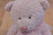 Preferred It's A Girl Pink Teddy Bear Rattle 2000 Beanbag Plush