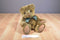 Princess Soft Brown Teddy Bear With Green Polk-a-Dot Bow 1997 Plush