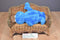 Hasbro Sesame Street Cookie Monster Squeeze A Song 2010 Plush