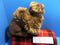 Fiesta Laying Dromedary Camel 2000 Beanbag Plush