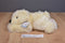 Aurora Flopsies Slushie Polar Bear and Mini Baby Beanbag Plushes