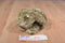 Walmart Brown Mottled Bunny Rabbit Beanbag Plush