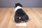 Douglas Chase Border Collie Dog 2013 Beanbag Plush
