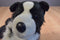 Douglas Chase Border Collie Dog 2013 Beanbag Plush