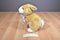 Commonwealth Tan and White Bunny Rabbit with Purple Bow 1999 Beanbag Plush