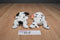 Ty Babies Rescue Dotty Sparky Dalmatians Beanbag Plushes