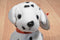 Ty Babies Rescue Dotty Sparky Dalmatians Beanbag Plushes