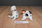 Ty Buddy and Babies Rescue and Dotty Dalmatians Beanbag Plush