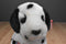 Ty Buddy and Babies Rescue and Dotty Dalmatians Beanbag Plush