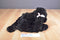 Aurora Black Poodle Babette Beanbag Plush