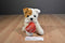 Aurora People Pals Bulldog Puppy Dog With Red Heart Pillow Plush