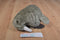 Plushland Walrus 1999 Plush