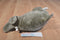 Plushland Walrus 1999 Plush