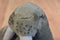 Plushland Walrus 1999 Plush