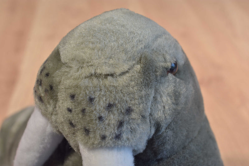 Plushland Walrus 1999 Plush