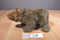 Uncle Milton National Geographic Kids Grizzly Bear 2008 Plush