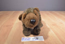 Uncle Milton National Geographic Kids Grizzly Bear 2008 Plush