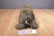 Uncle Milton National Geographic Kids Grizzly Bear 2008 Plush