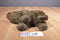 Uncle Milton National Geographic Kids Grizzly Bear 2008 Plush