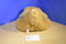 FAO Schwarz Patrick The Pup Brown Beige Plush