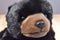 Ty Classic Paws Black Bear 1996 Beanbag Plush