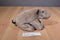 K & M Hippo 2005 Beanbag Plush