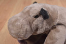 K & M Hippo 2005 Beanbag Plush