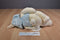 Hallmark Bunnies by the Bay Buttercup 2002 Beanbag Plush