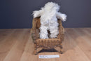 Pottery Barn Kids White Cat 2013 Beanbag Plush