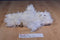 Pottery Barn Kids White Cat 2013 Beanbag Plush