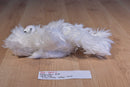 Pottery Barn Kids White Cat 2013 Beanbag Plush