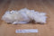 Pottery Barn Kids White Cat 2013 Beanbag Plush