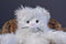 Pottery Barn Kids White Cat 2013 Beanbag Plush