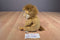 E & J Classics Lion Beanbag Plush