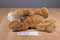 A&A Fancy Zoo Bengal Tiger Beanbag Plush