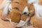 A&A Fancy Zoo Bengal Tiger Beanbag Plush