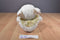 King Plush White Pig Plush